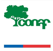 Corporación Nacional Forestal
