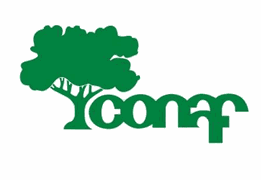 Corporación Nacional Forestal