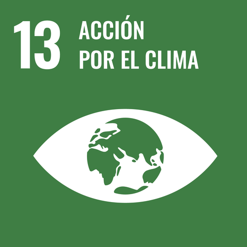 Objetivo 13: Acción por el clima