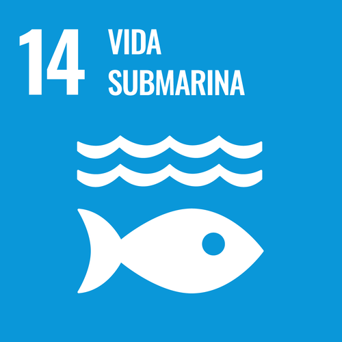 Objetivo 14: Vida submarina