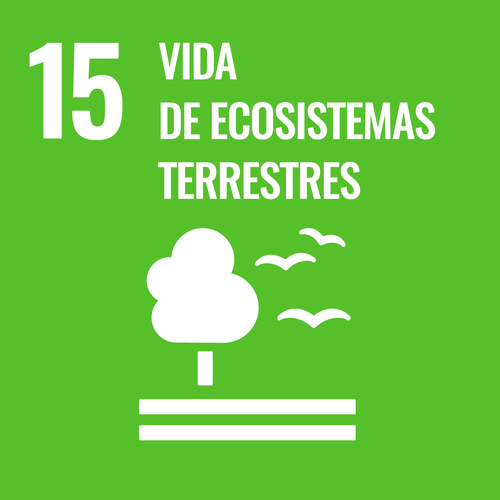 Objetivo 15: Vida de ecosistemas terrestres